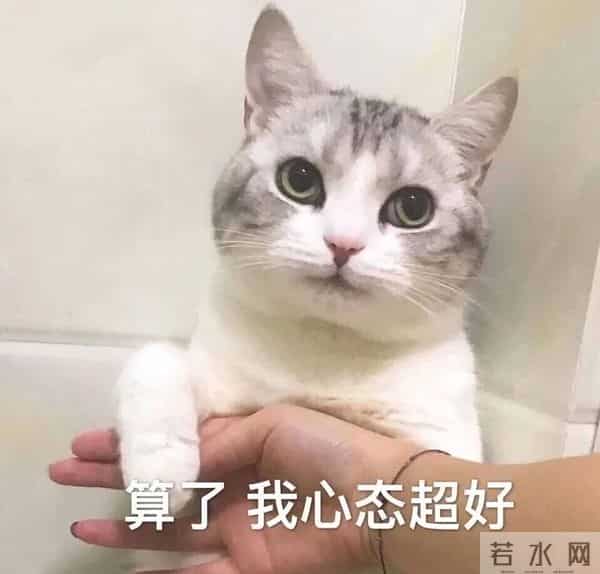 张若昀吃月子餐胖了十斤