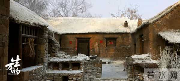 东方卫视幸福到万家免费观看全集