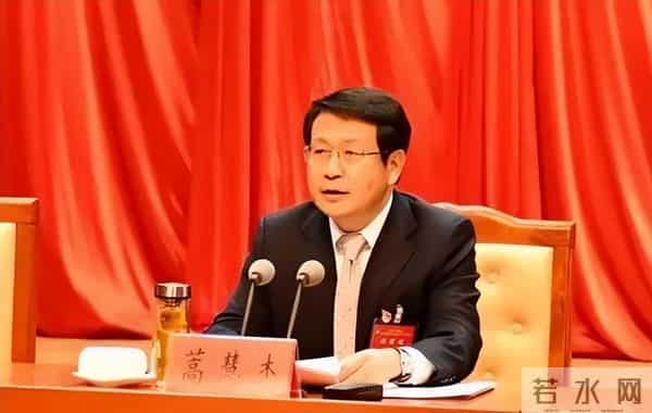 崔伟个人资料简介