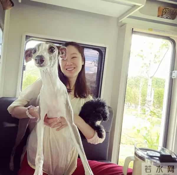 苏志燮孔孝真在一起