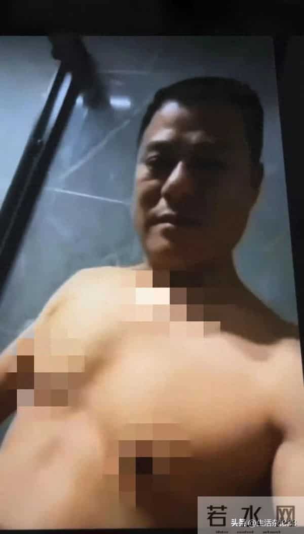 小杨哥爸爸遛鸟视频