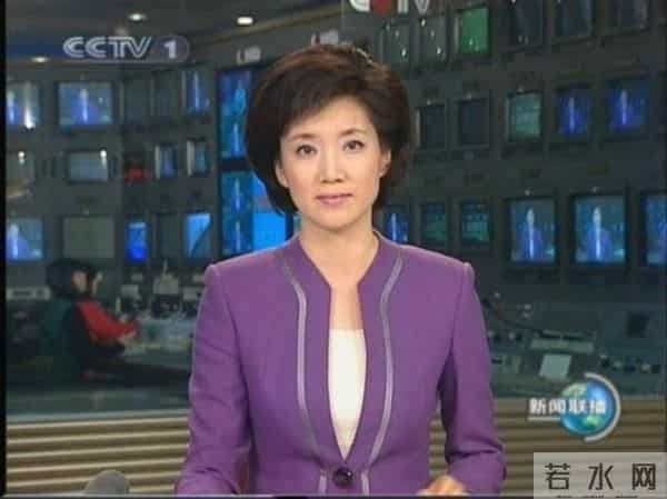 杨澜为李天一喊冤