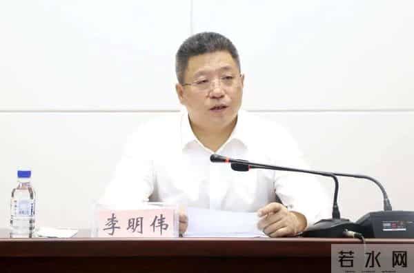 崔伟个人资料简介