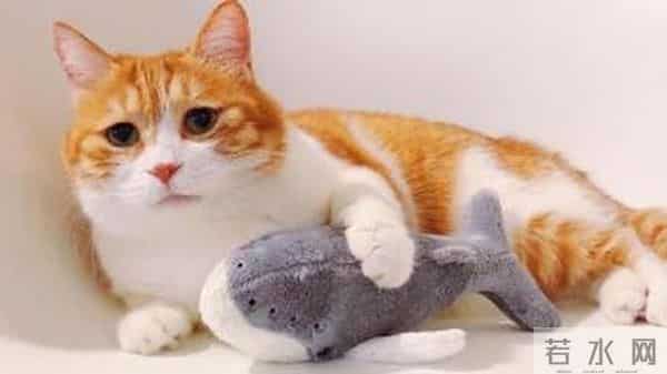 潘玮柏方否认老婆曾参加训练营