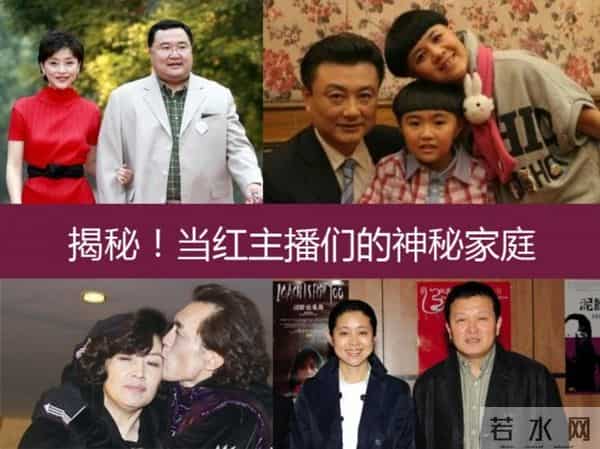 杨澜为李天一喊冤