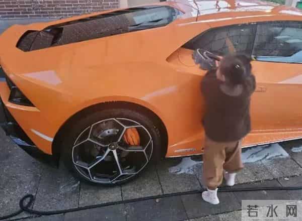 董子健假笑男孩