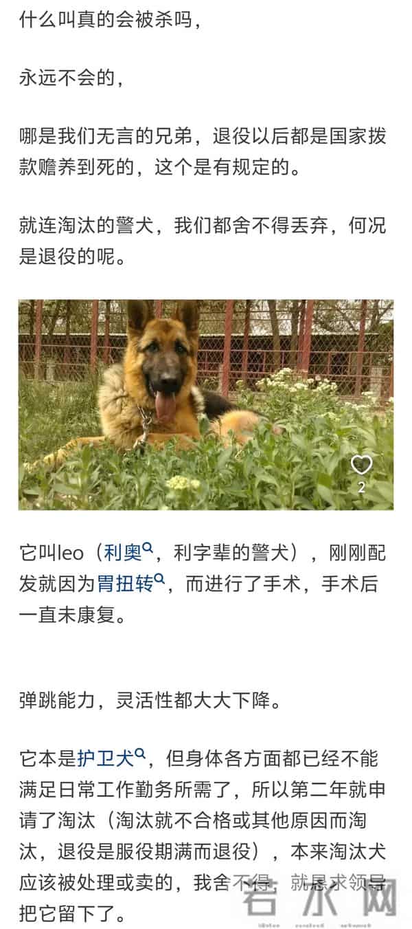 国会2012最新慢摇