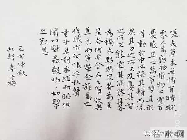 三线艺人小孩帖子原帖