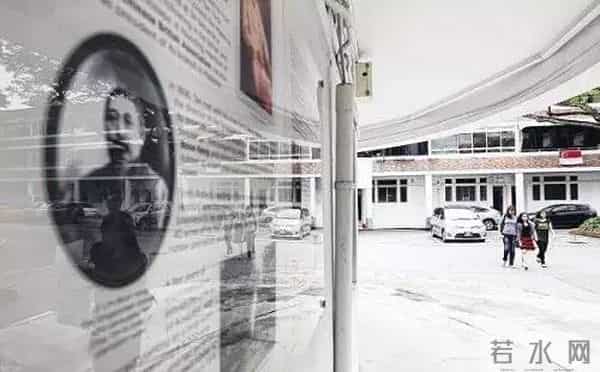 峇峇是什么意思