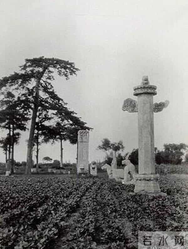 国会2012最新慢摇