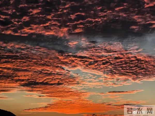 陈乔恩连续七年晒照悼念乔任梁