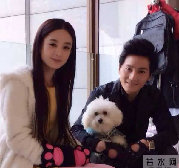 赵丽颖做了几年朝阳v姐