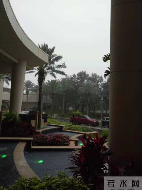 mv下载网站免费mp4