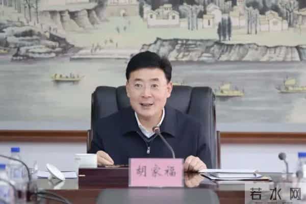 崔伟个人资料简介