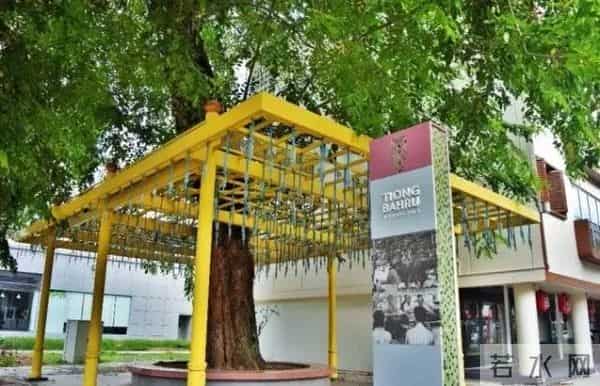 峇峇是什么意思