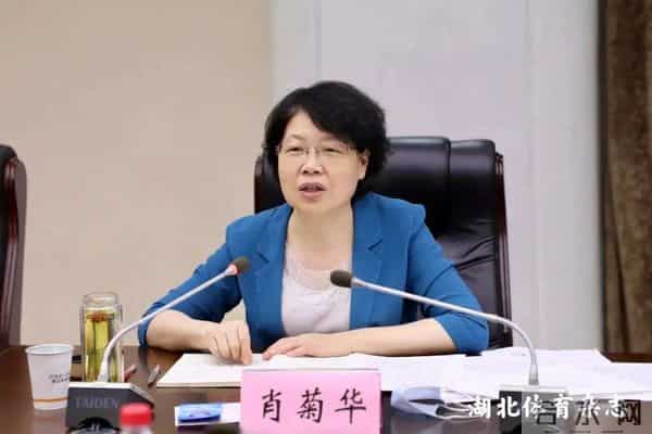 崔伟个人资料简介