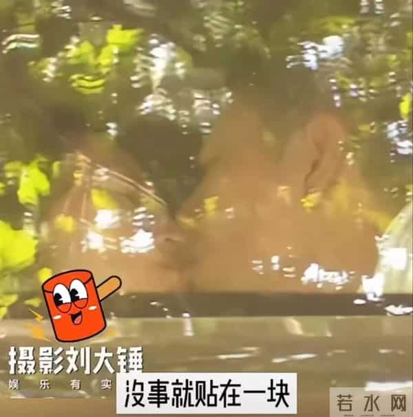 刘敏涛的婚史