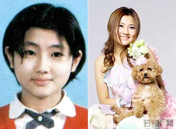 高圆圆为什么被叫做炮台