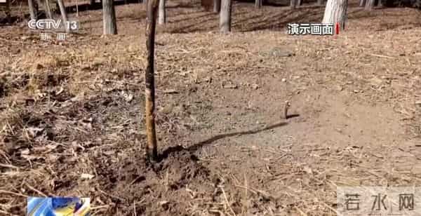 带我到山顶下载