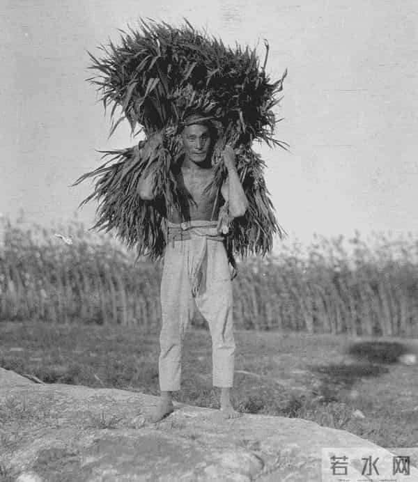 国会2012最新慢摇