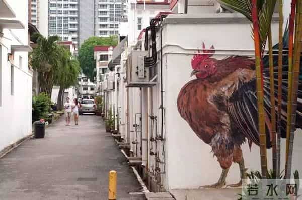 峇峇是什么意思