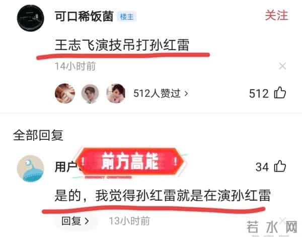 孙红雷老婆出演扫黑风暴