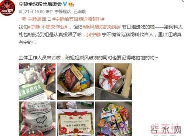 宁静给节目组送猪饲料