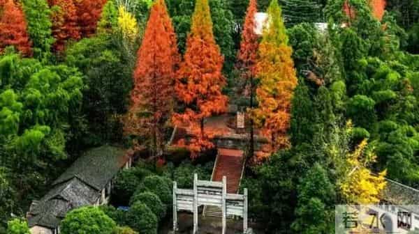 超500家景区免费