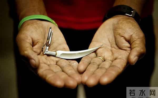 暴烈警官-菲警官因斗鸡殉职,凶残产业却价值数亿,全民热衷为何屡禁不止?