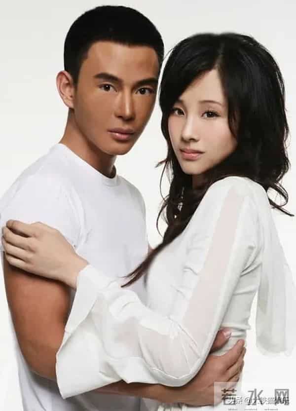 侣萧-10大“海岩男郎”今昔颜值对比:有人中年成油王,有人改名又变脸