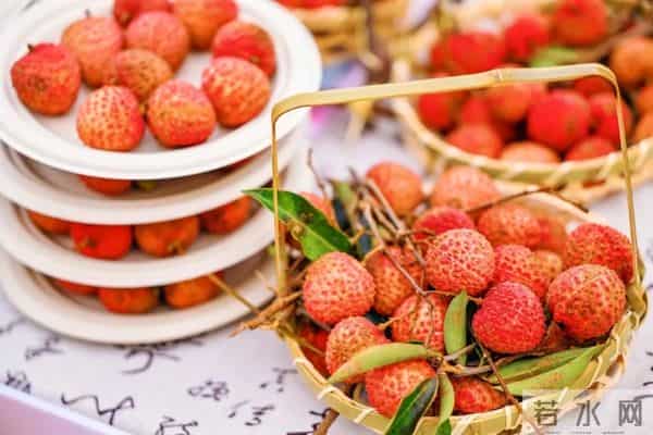 长安荔枝-长安的荔枝，到底来自哪儿？