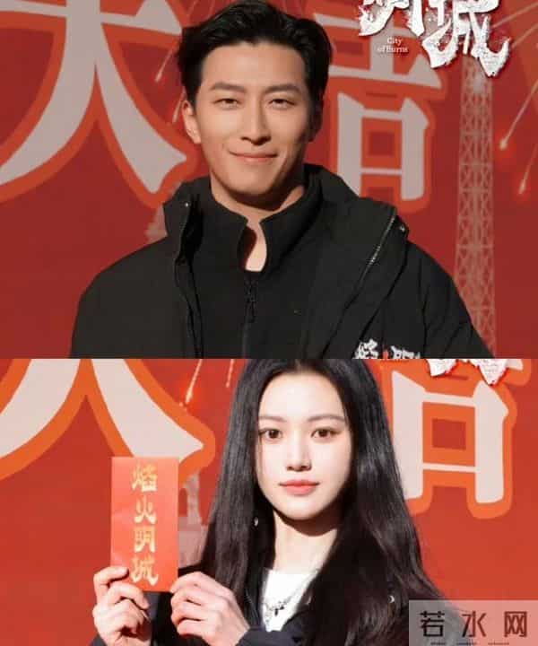 双探演员表-这两部悬疑剧封神!《双探》实景硬核+《焰火明城》熬夜追值了