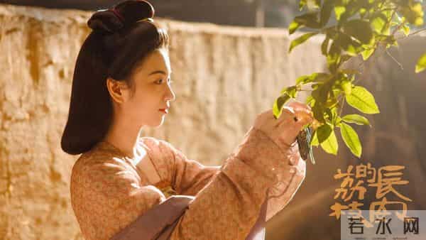 长安荔枝-长安的荔枝，到底来自哪儿？