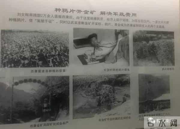 艺术人生秦怡-逃婚、大病、白发人送黑发人…“人民艺术家”秦怡的传奇百年人生