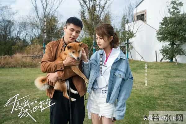 霞光演员表-《霞光》背后的演员关系网,除了闺蜜一起演戏,还有和女儿演戏的