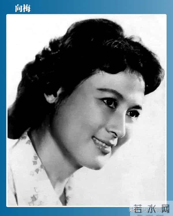 谢晋电影-著名导演谢晋的7部电影作品,部部经典,至今难忘。