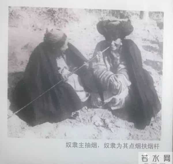 艺术人生秦怡-逃婚、大病、白发人送黑发人…“人民艺术家”秦怡的传奇百年人生