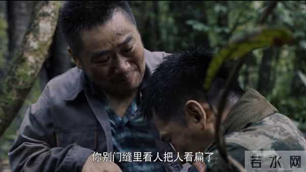 特战荣耀电视剧完整版免费观看