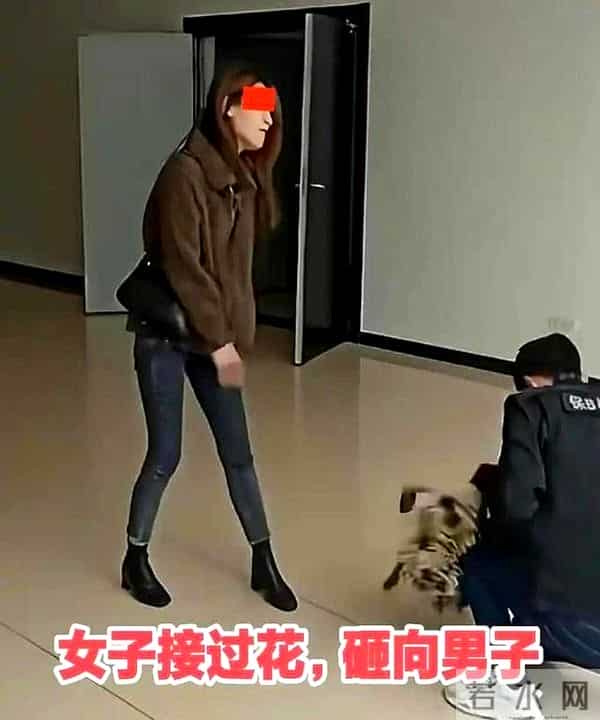 道德绑架式表白