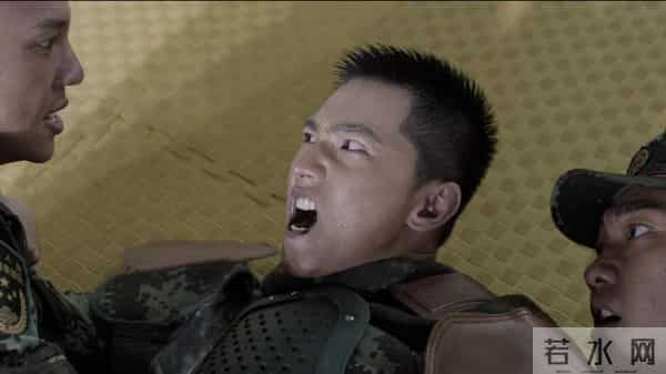 特战荣耀电视剧完整版免费观看