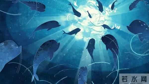 精灵之歌-真相不恒久,诺言已老朽——《海洋之歌》