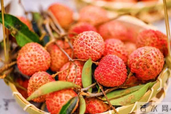 长安荔枝-长安的荔枝，到底来自哪儿？