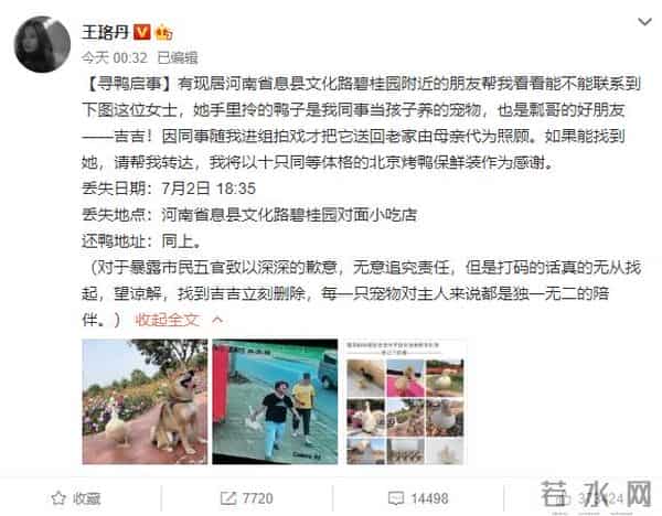王珞丹发寻鸭启事