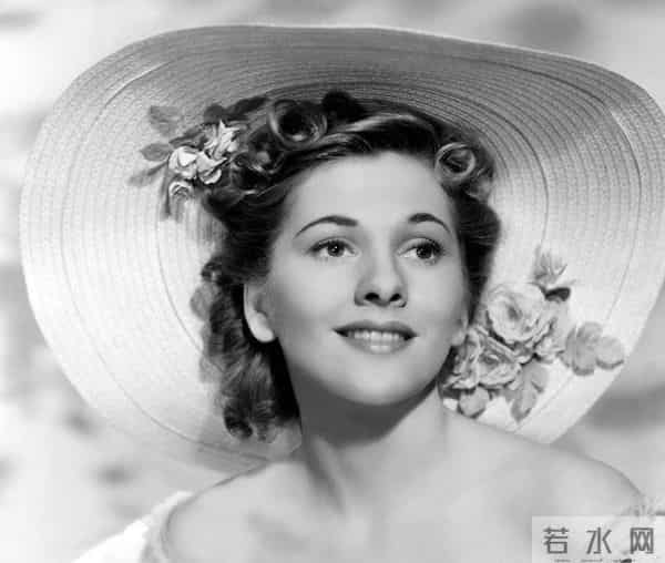 《丽贝卡的秘密》