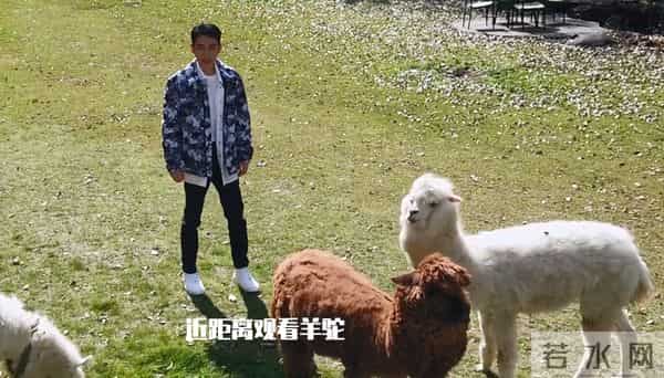 大怨种朱一龙被吐八次口水