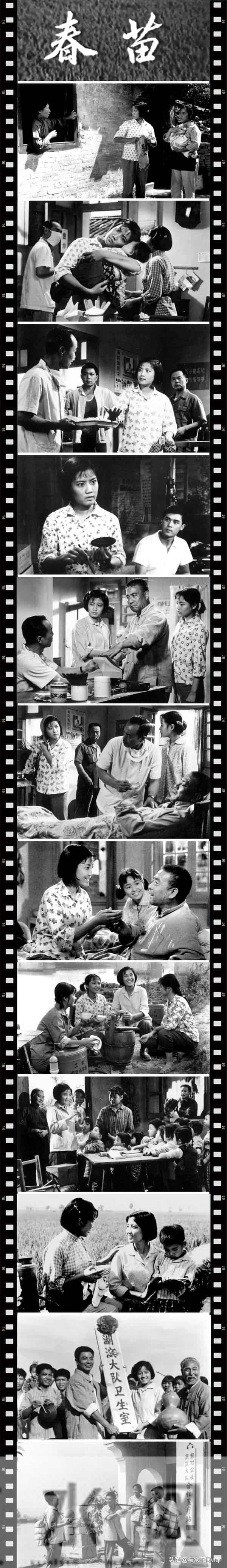 谢晋电影-著名导演谢晋的7部电影作品,部部经典,至今难忘。