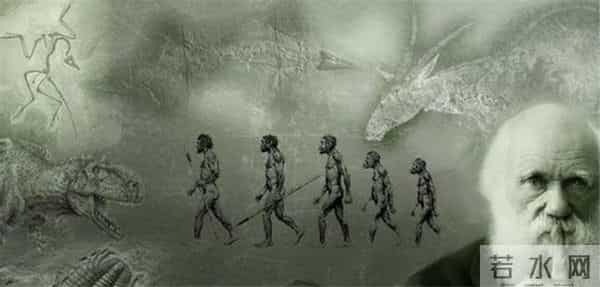 斯金格-14万年前“龙人”头骨，在中国被发现，专家：人类进化的有力证据