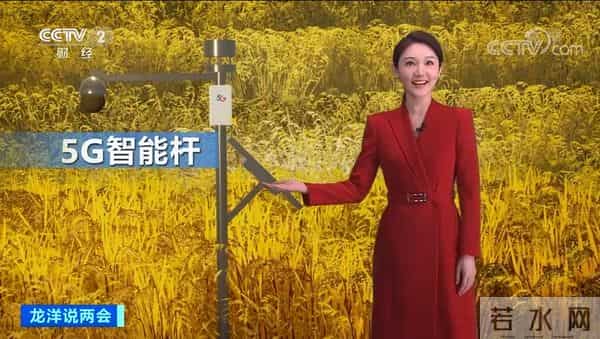 我国海水稻种植破百万亩