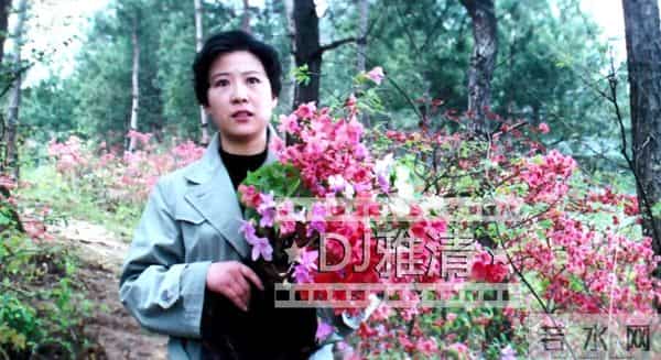天云山传奇-《天云山传奇》40年 为何三主角都成艺术家 而女配角却成“老赖”？