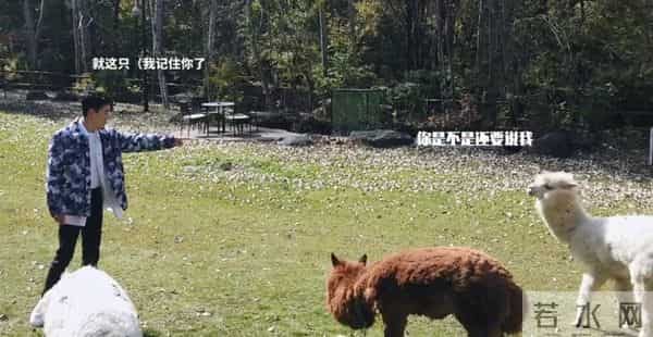 大怨种朱一龙被吐八次口水